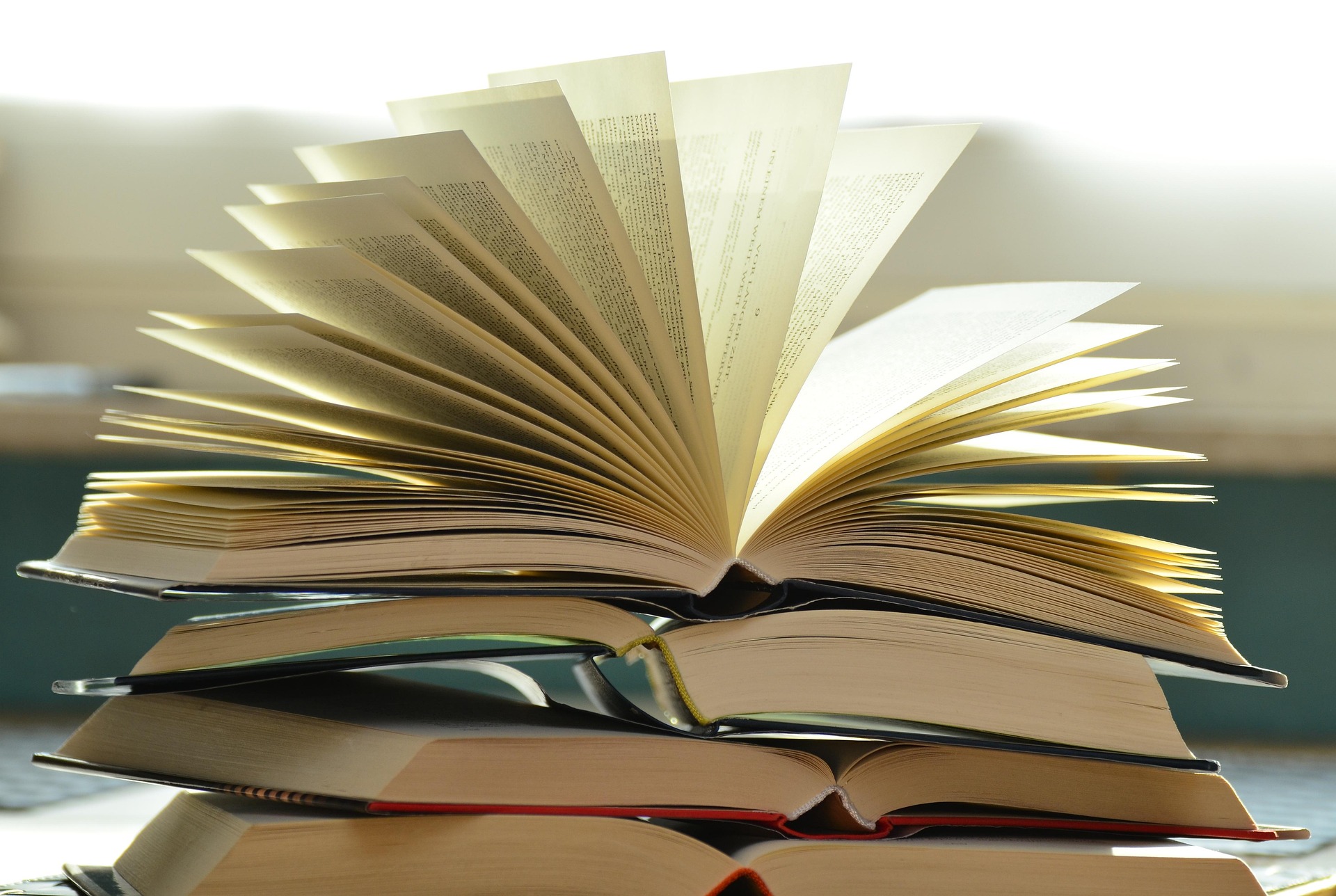 congerdesign-books-1082942_1920
